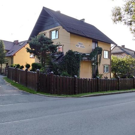 Noclegi Przy Szlaku Agroturystyka Zabnica Екстериор снимка